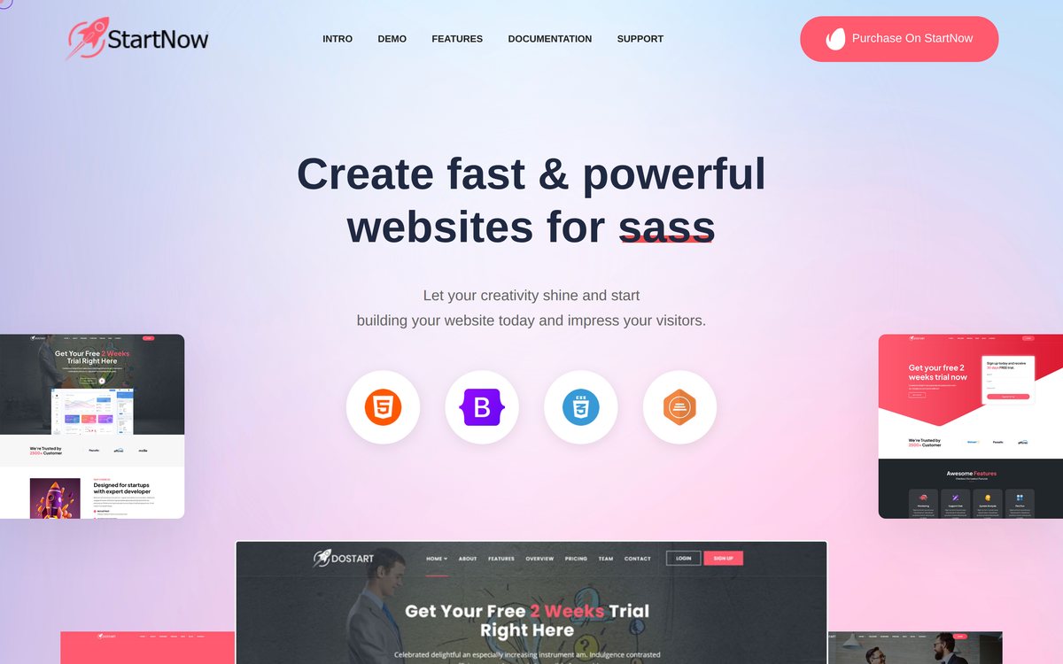 Screenshot of the SaaS Startup website built by Z Dev.IT