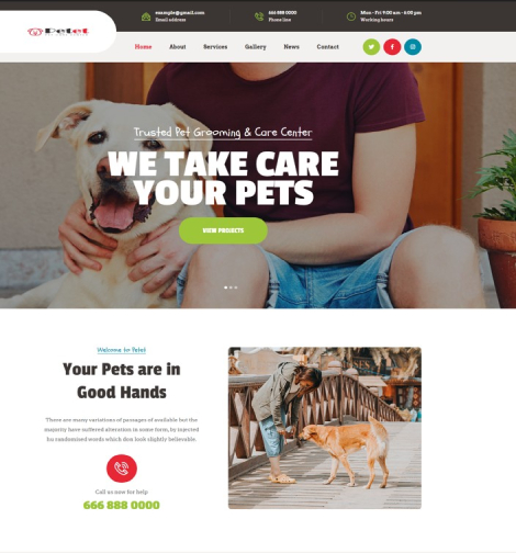 Corporate WordPress Website