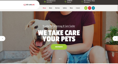 WordPress Website